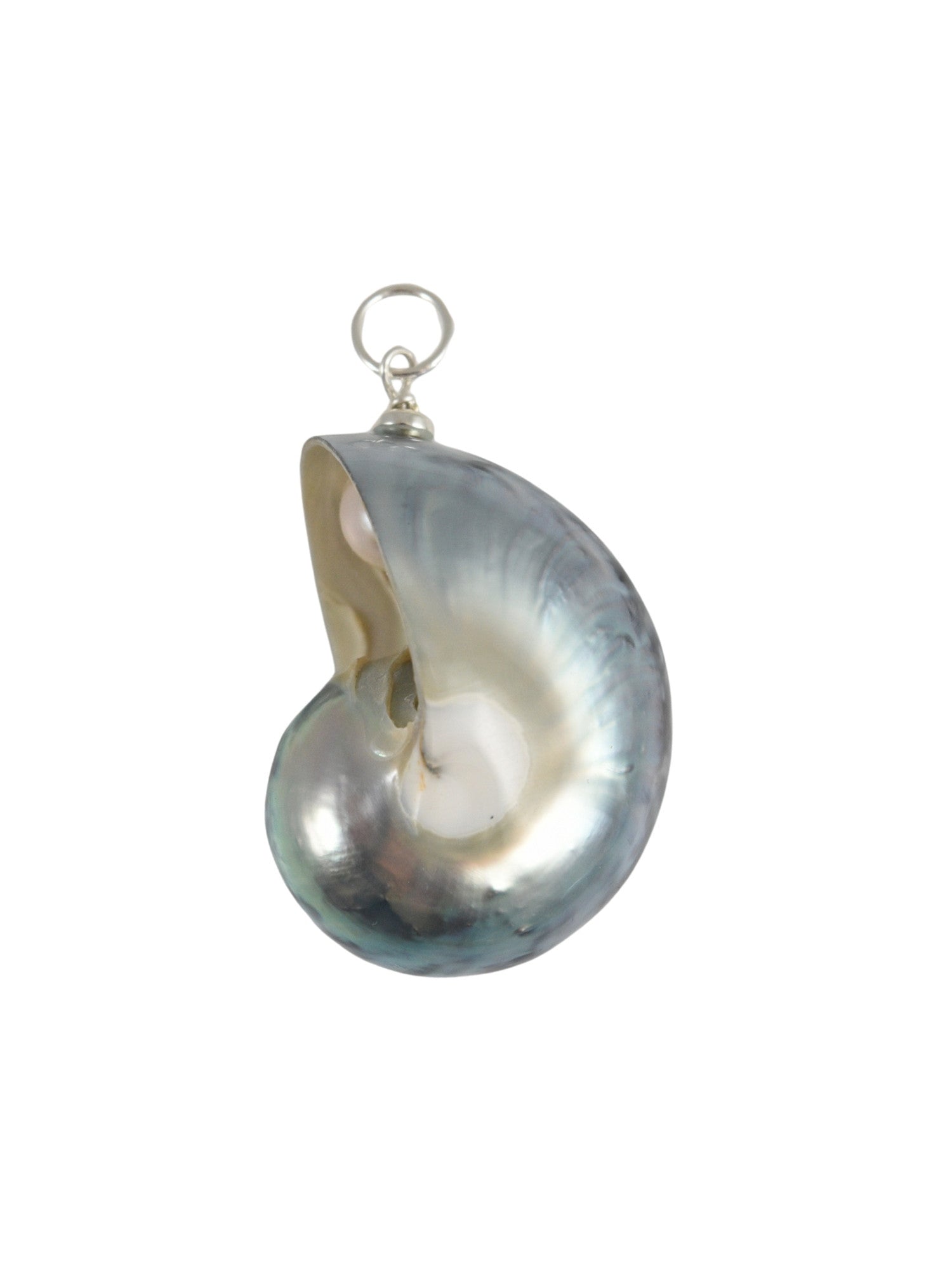 Sea Spiral Charm