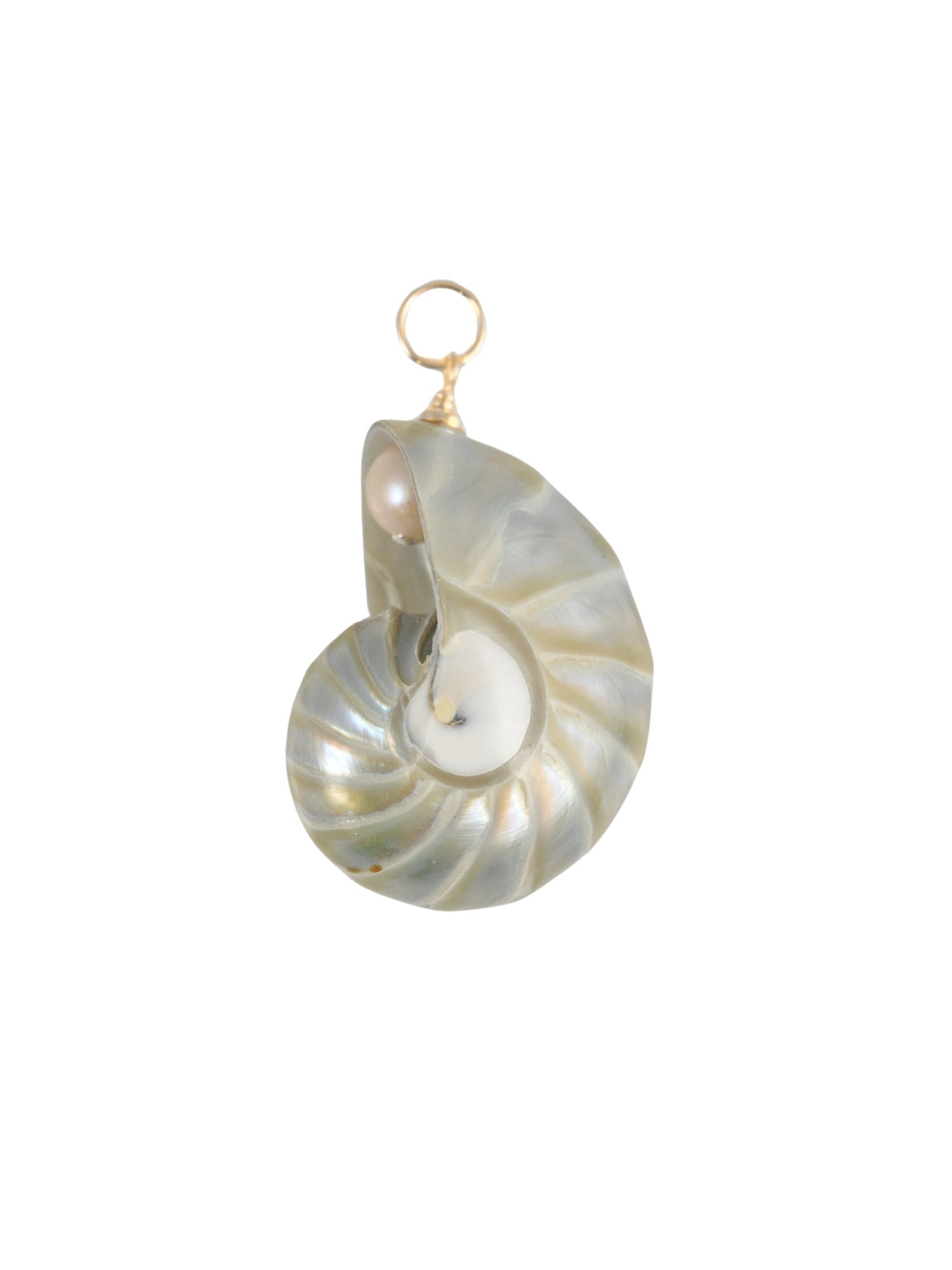 Sea Spiral Charm