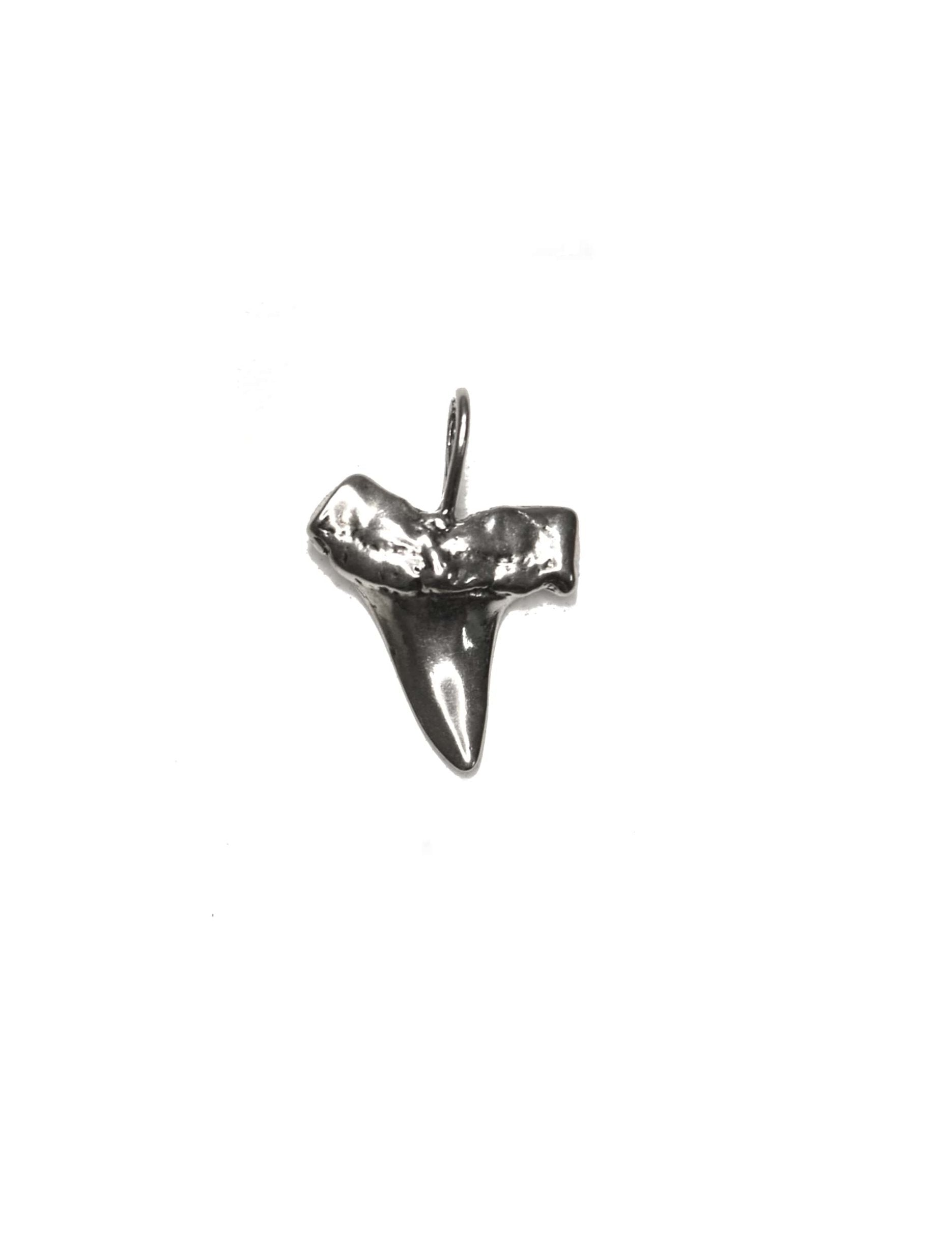 Shark Tooth Pendant