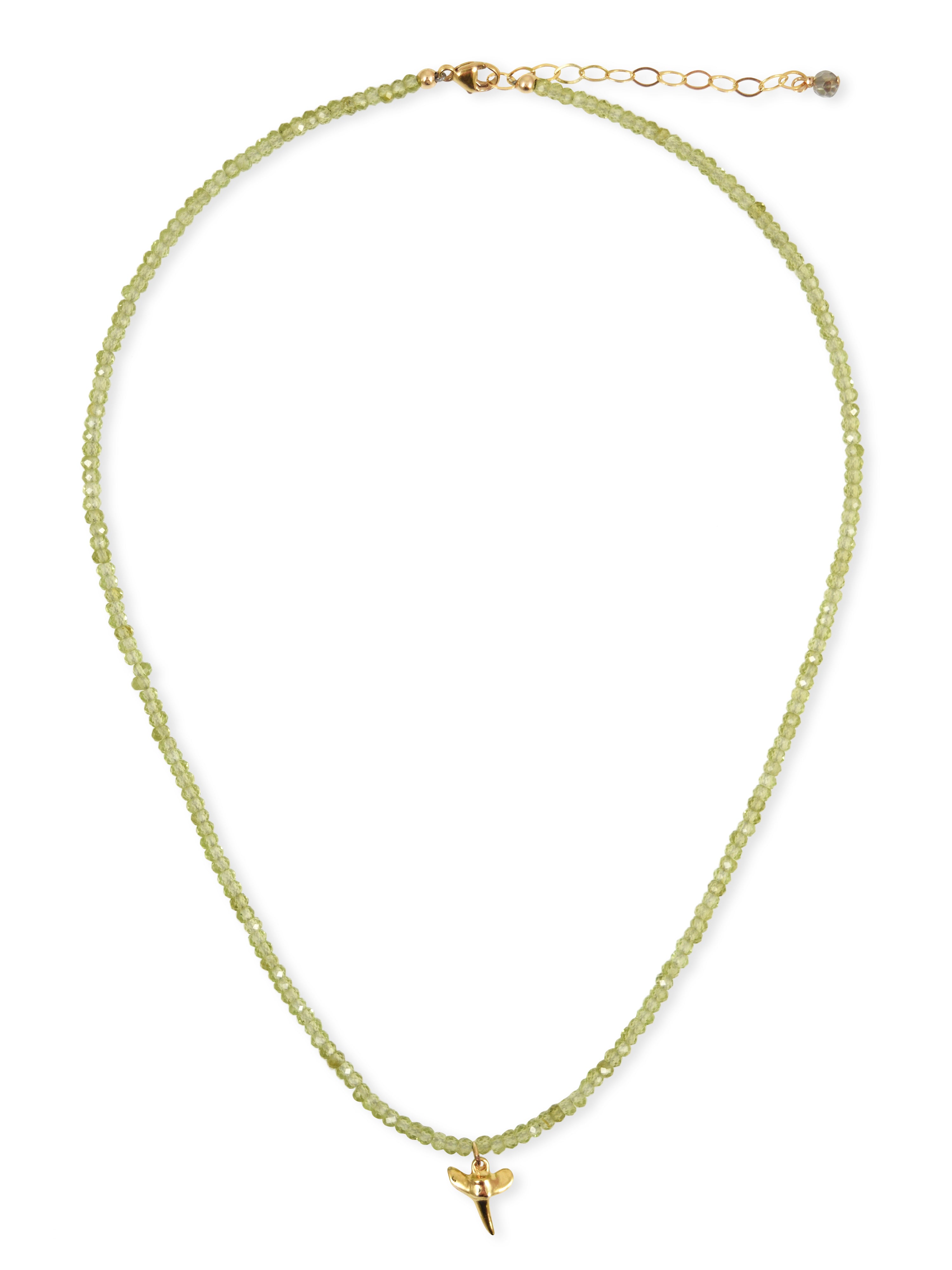 Sublime Necklace with Sharktooth