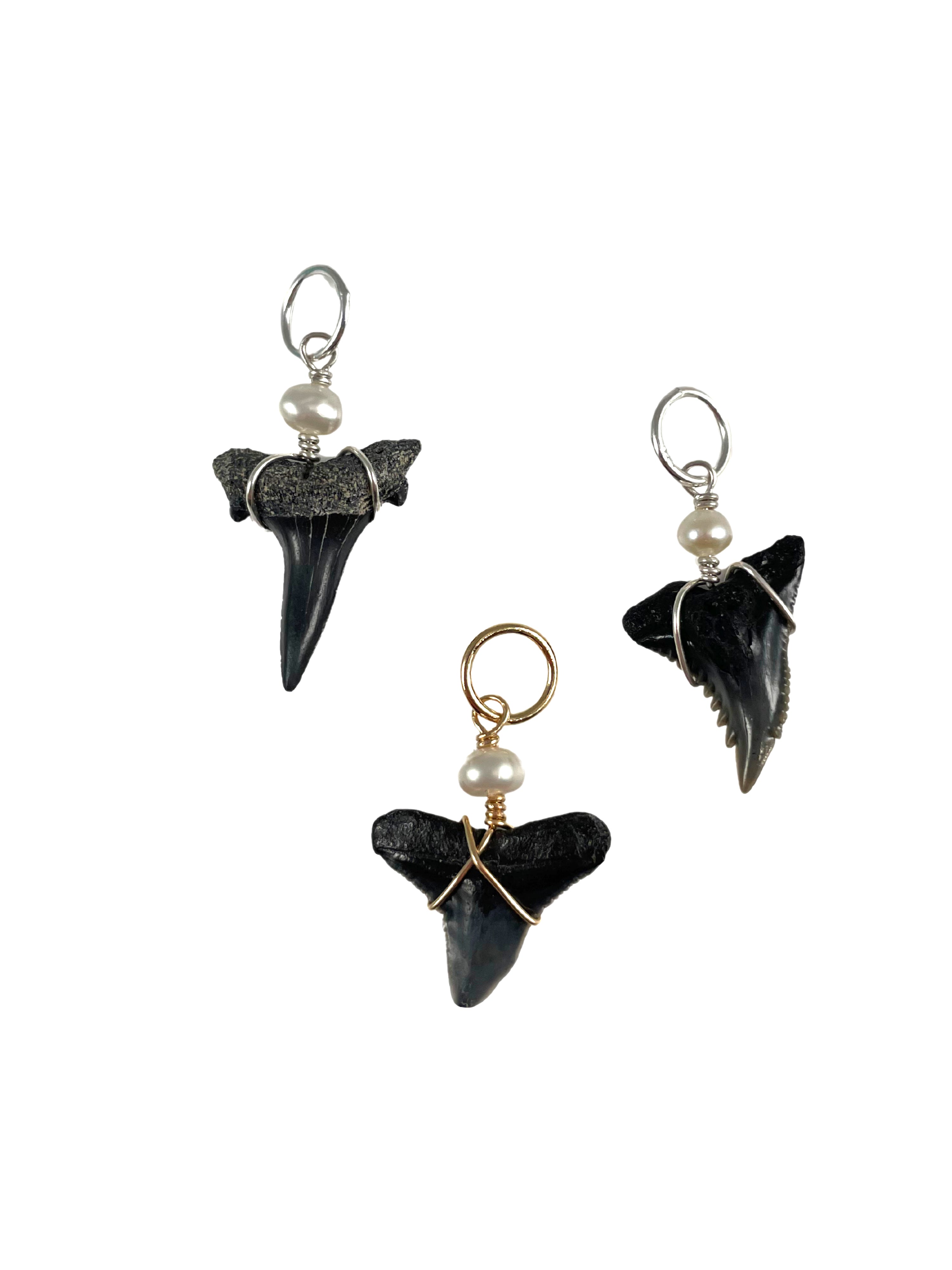 Natural Shark Tooth Charms 