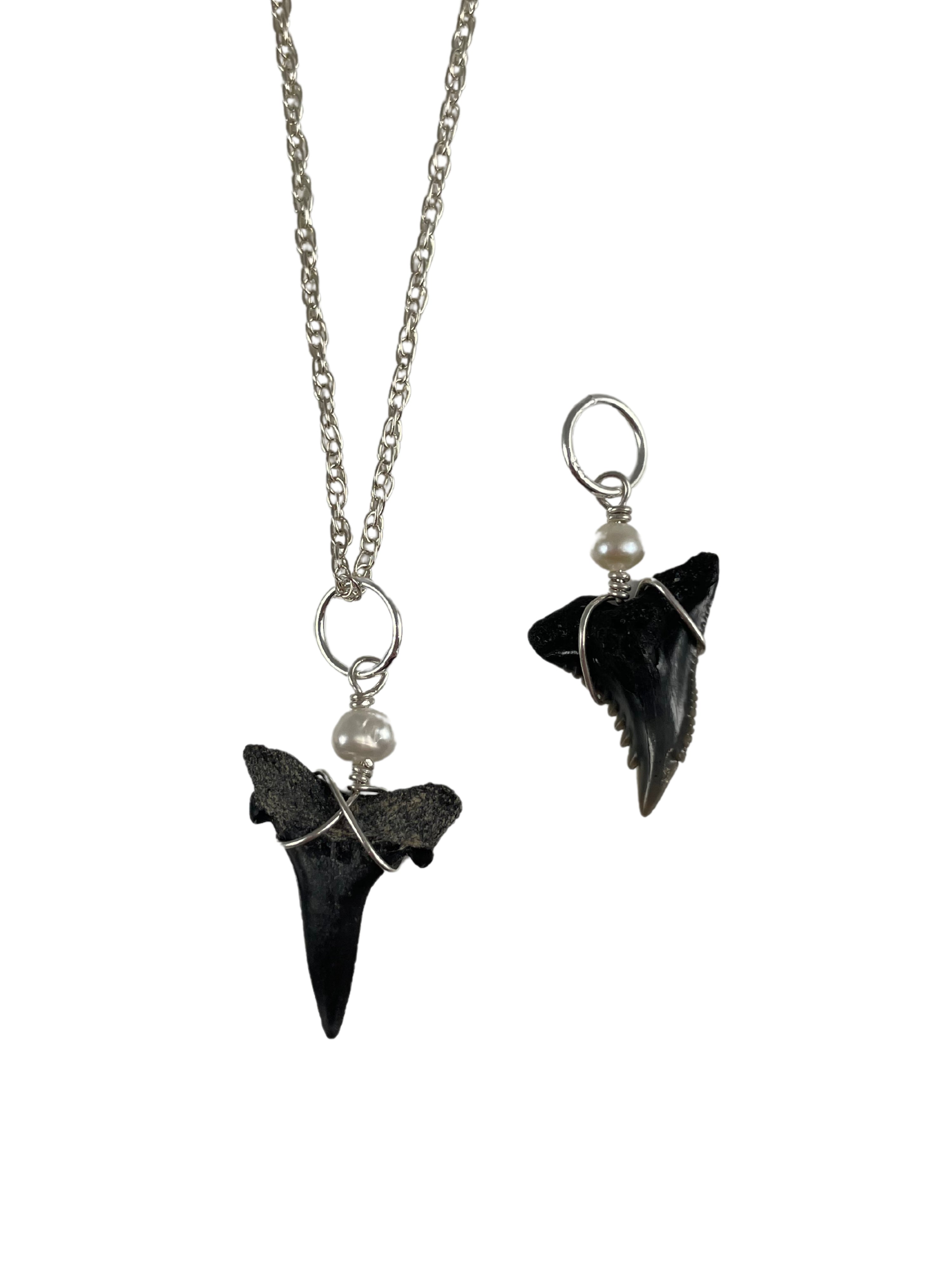 Natural Shark Tooth Charms 