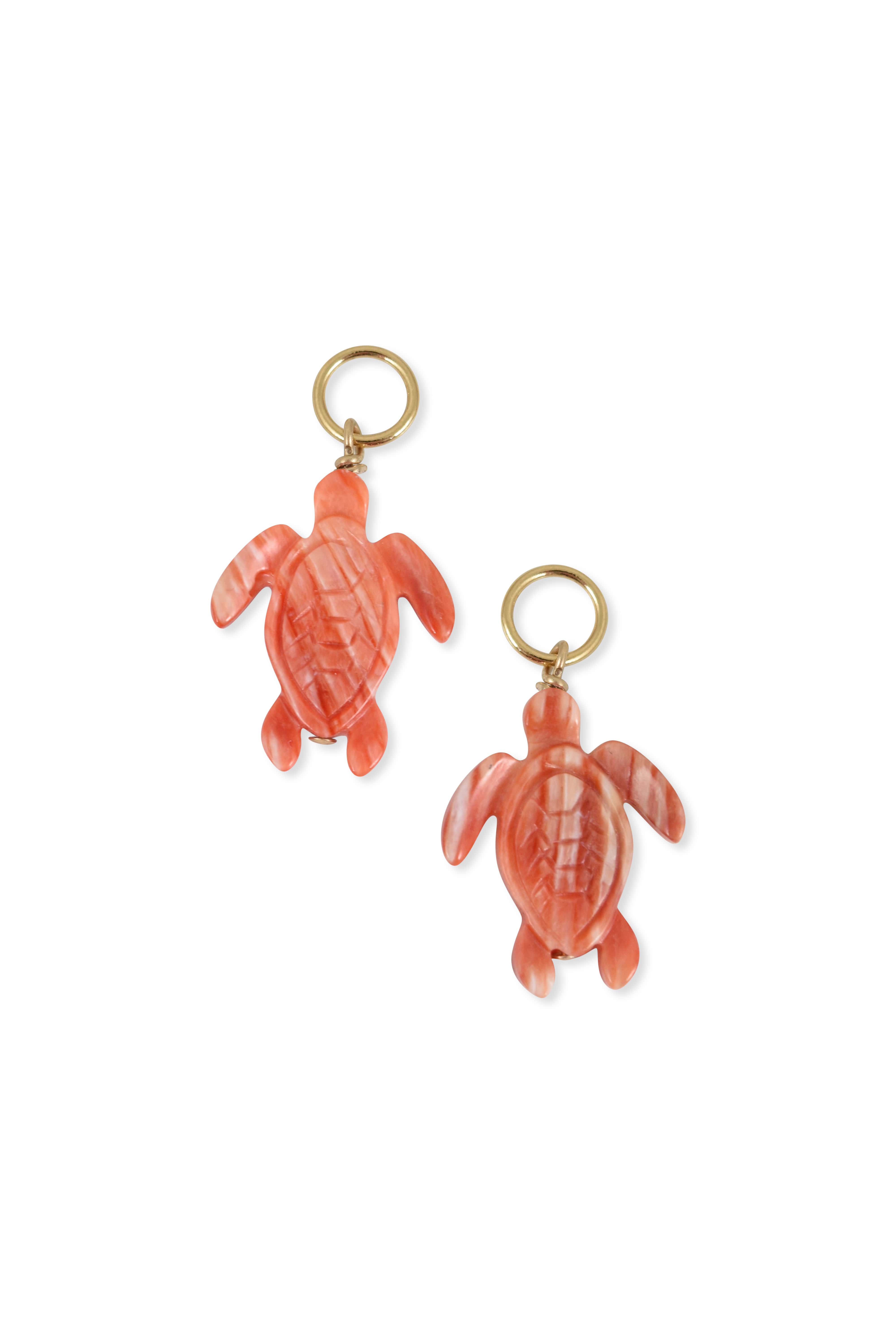 Turtle Charm in Orange Spiny Oyster