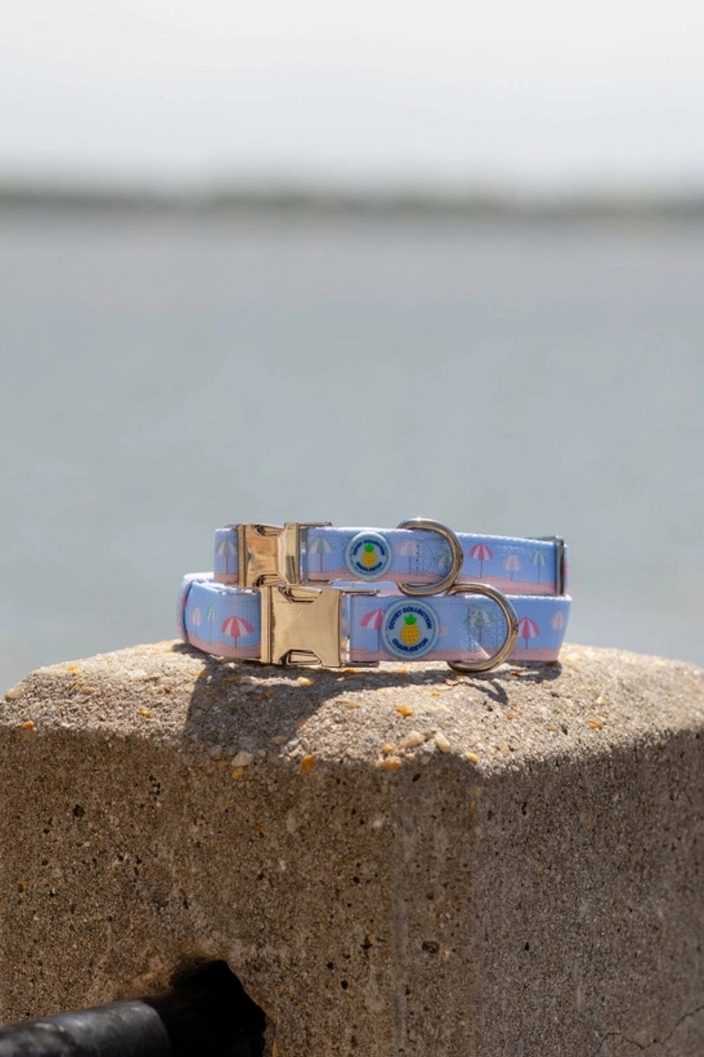 Sunshade Dog Collar