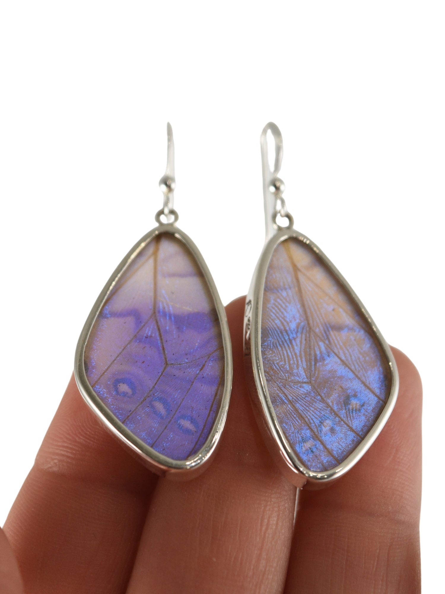 Butterfly Wing Earrings In Fairy