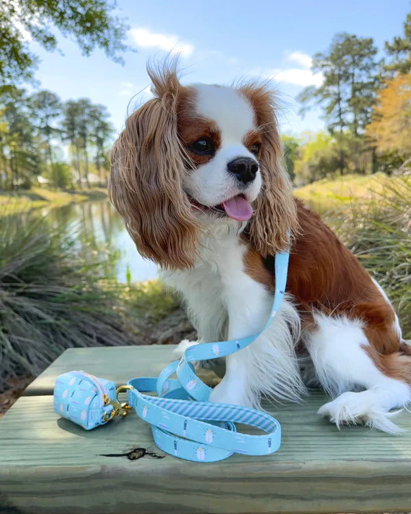 Sullivan's Island Waste Bag Holder