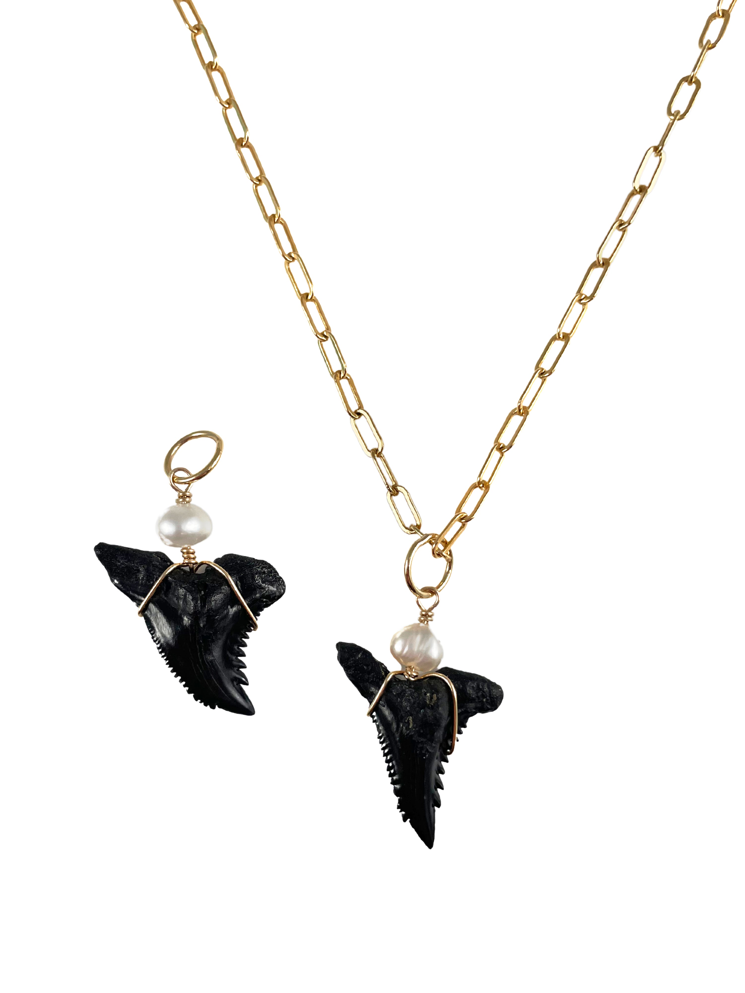 Natural Shark Tooth Charms 