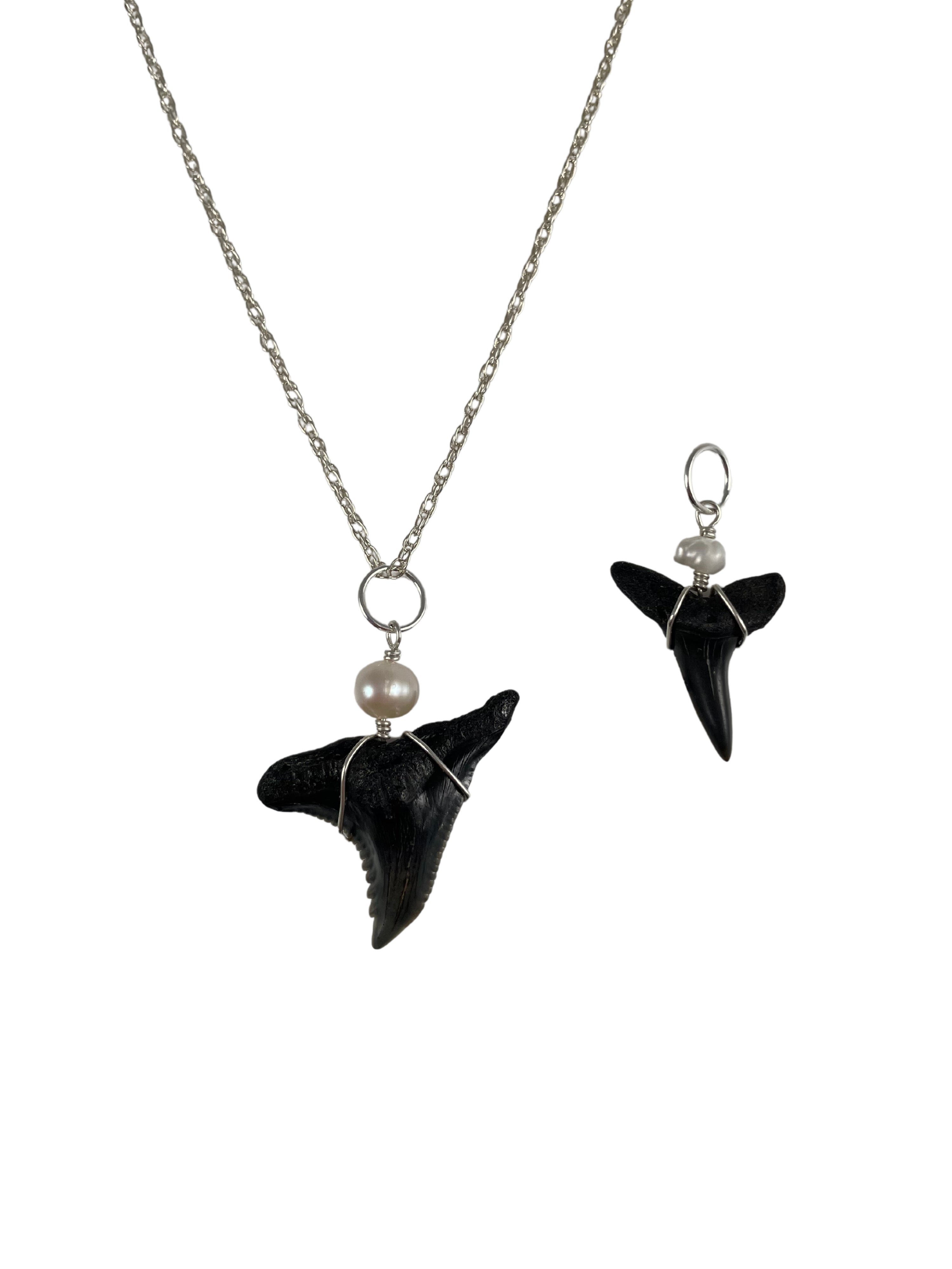 Natural Shark Tooth Charms 