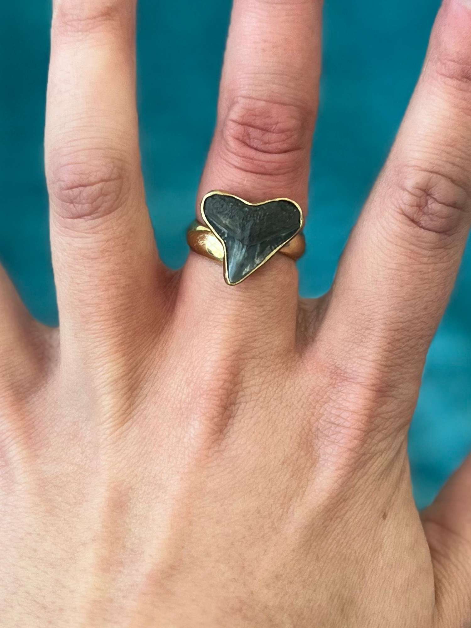 Lowtide Treasure Adjustable Ring