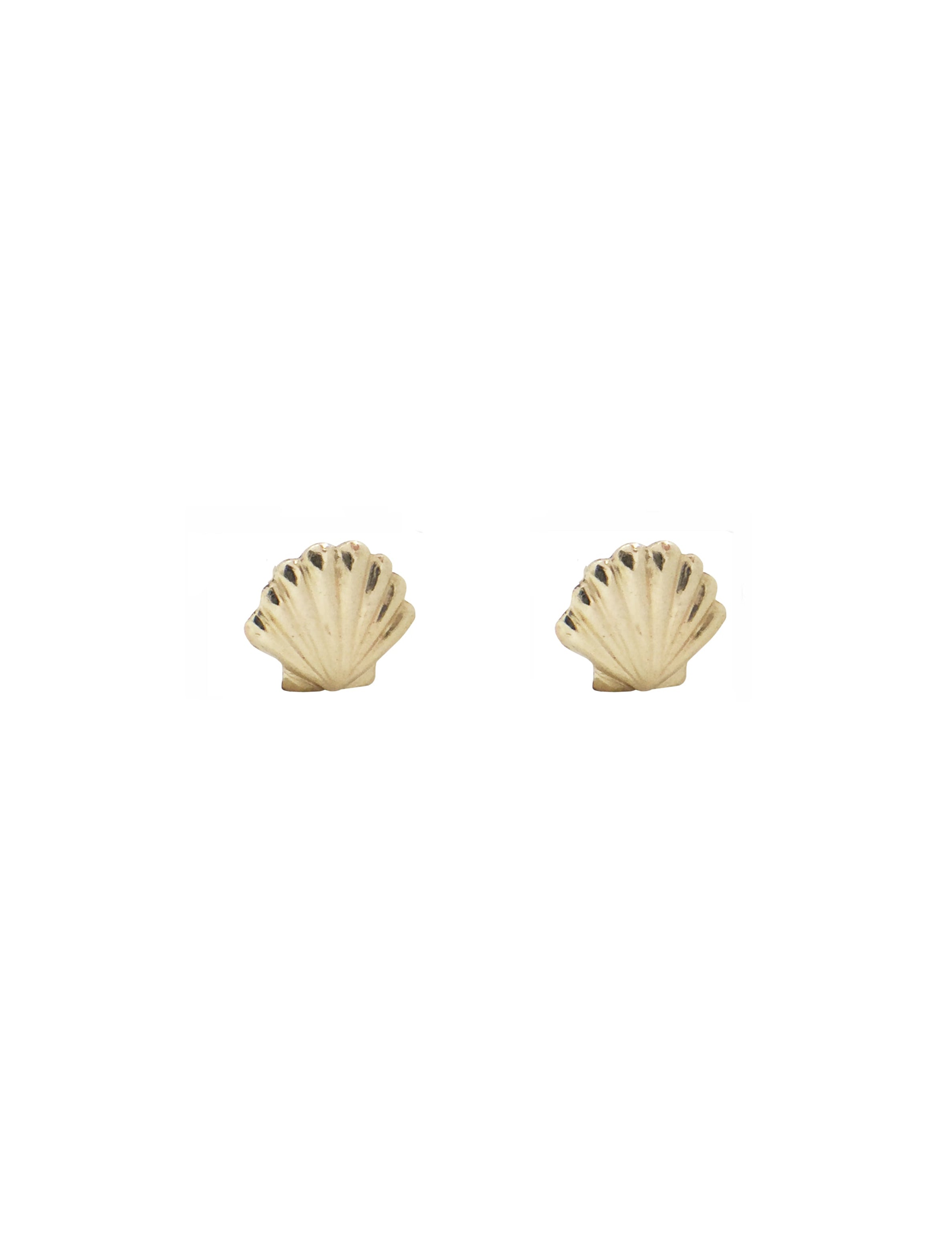 Scallop Shell Studs