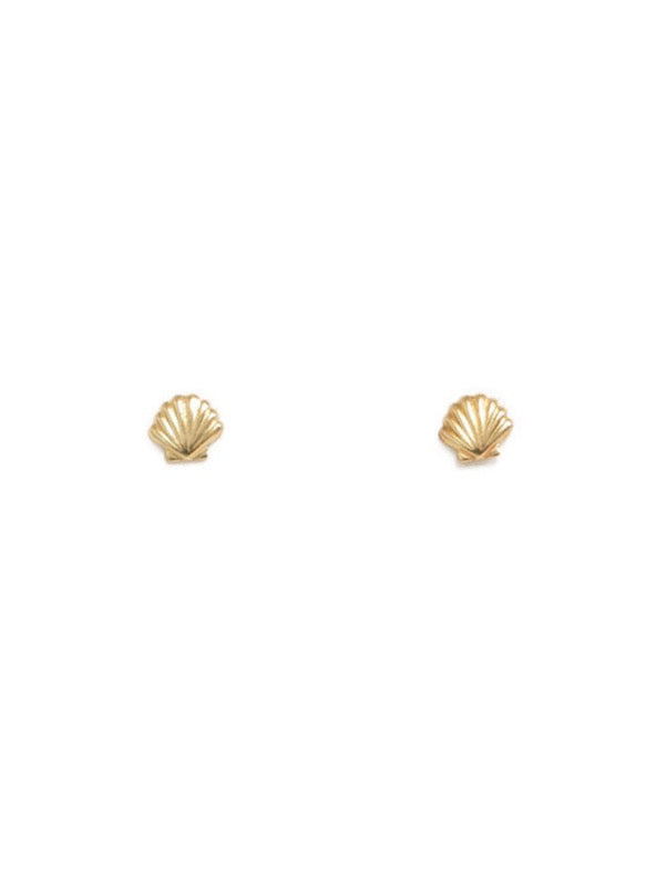 Scallop Shell Stud Earrings